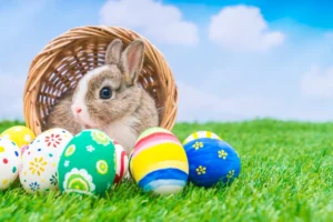 Read more about the article How to Respond to Happy Easter: Thoughtful, Authentic, and Meaningful Ways to Reply